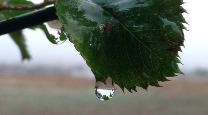 Wet weekend ahead for South County