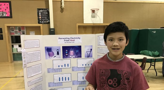 Students show off science skills at citywide fair