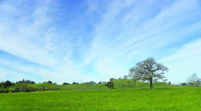 Environmental study of Cordoba Center underway