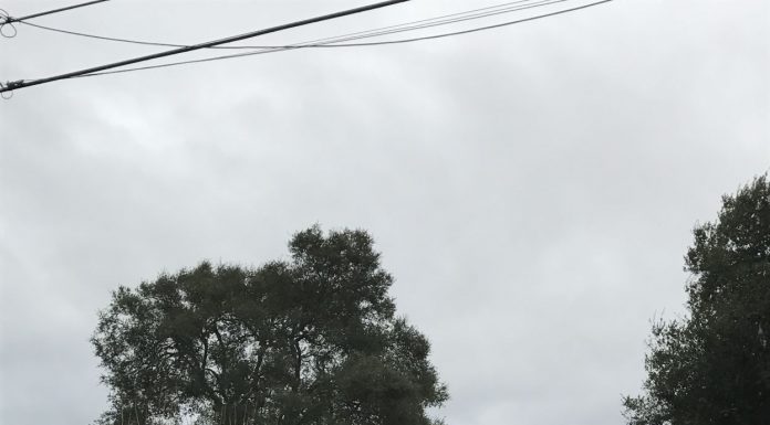 Anderson Reservoir: Beauty becomes chaos