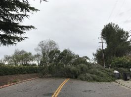 Storm update: Rain, wind expected to pick up Monday afternoon, evening