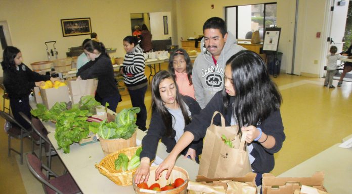 MH teen supplies fresh fruit, veggies to needy families