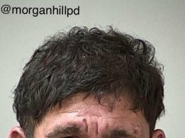 Police briefs: Possible hit and run, drug arrest