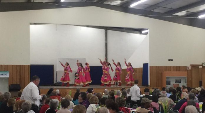 MH Rotarians hold Harvey Barrett Senior Dinner