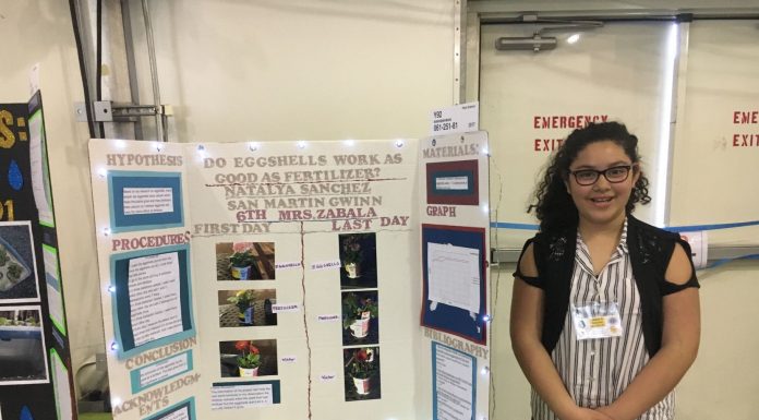 Two local students bring home awards from countywide science fair