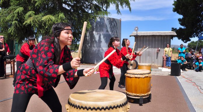 Haru Matsuri Spring Festival set for Sunday