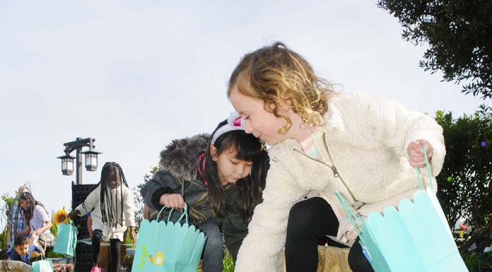 Photos: Local children hunt for Easter eggs