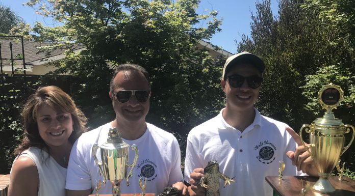 (Frog) Jumping to victory