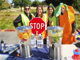 Taking in a day at the park