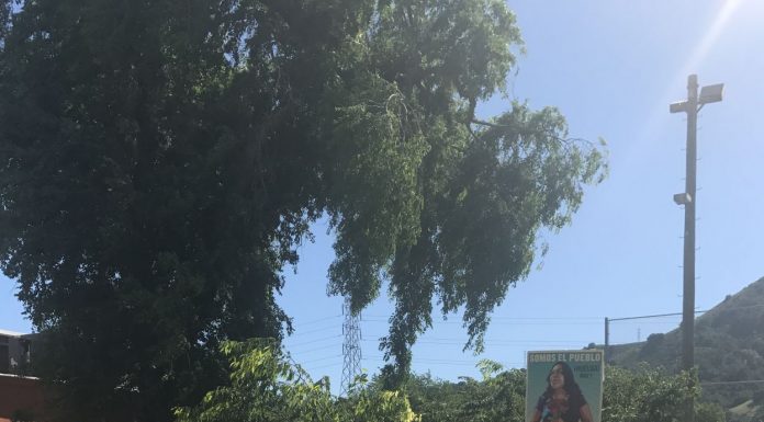 MH May Day March focuses on working class, immigration