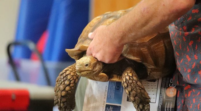 Local kids learn about reptiles at ‘Python Ron’ show