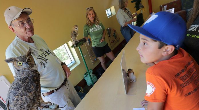 Morgan Hill library celebrates 10th anniversary