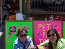 8th annual Pet Wash set for Sunday