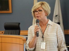 By-district elections: Test your mapmaking skills