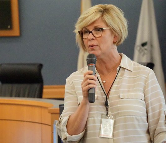 By-district elections: Test your mapmaking skills