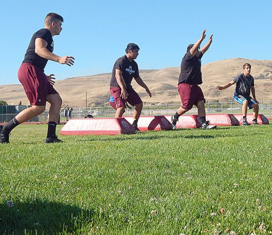 Teams, coaches hopeful for fall