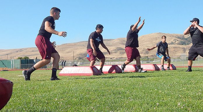 Teams, coaches hopeful for fall