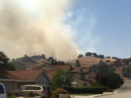 MORE PHOTOS: Fire crews respond to 100-acre blaze in north Morgan Hill