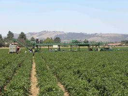 City, LAFCO spar over grand jury report