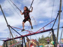 Taste of Morgan Hill canceled