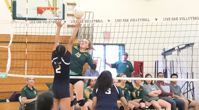 Feisty Acorns sweep Overfelt
