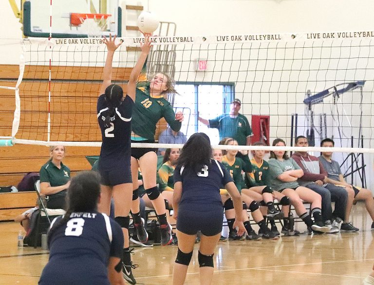 Feisty Acorns sweep Overfelt