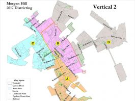 Districts drawn for new city elections system