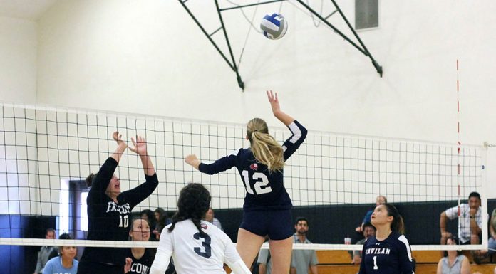 With gym under renovation, Gav continues to excel