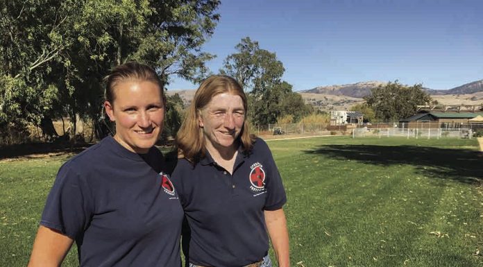 Veterans Run helps veterans