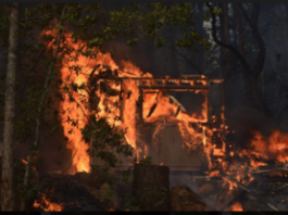 Guest view: Disaster brings out the best in people