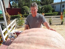 Updated: Santa Rosa mailman wins 2017 Giant Pumpkin Weigh-off