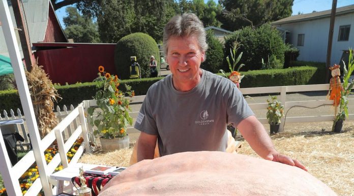 Updated: Santa Rosa mailman wins 2017 Giant Pumpkin Weigh-off