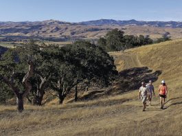 Morgan Hill’s Julie Hutcheson named executive director of Green Foothills