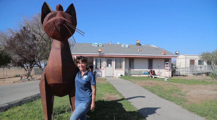 New animal shelter on its way to San Martin