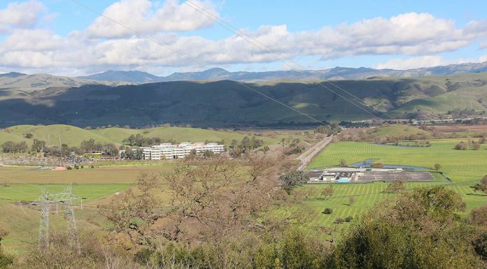 Gavilan looks to the future