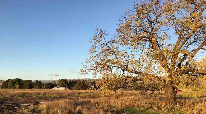 Council approves plans for 242 homes in east MH