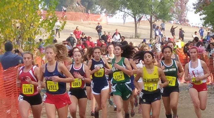 Morgan Hill runners go hard at state cross country finals