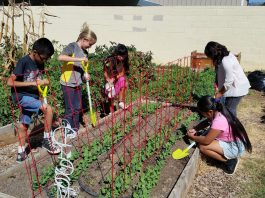 SV Fleurs Garden Club offers horticulture grants to local schools