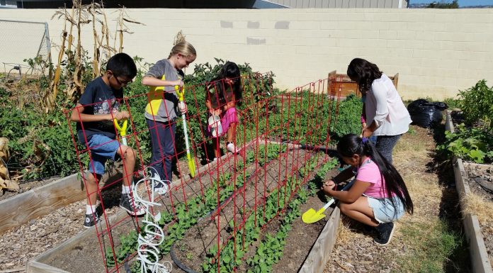 SV Fleurs Garden Club offers horticulture grants to local schools