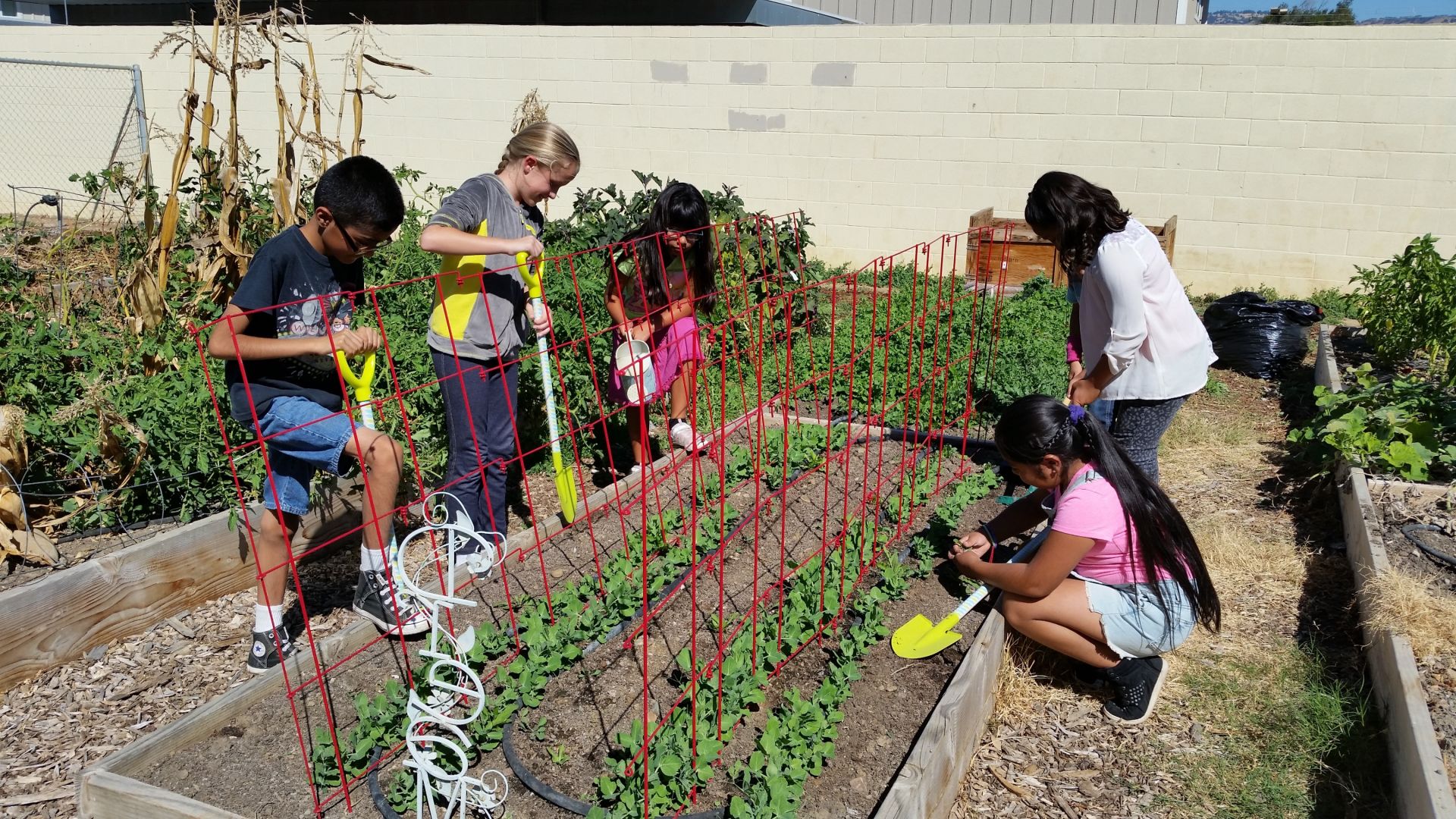 SV Fleurs Garden Club offers horticulture grants to local schools