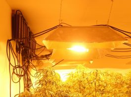 Council to weigh Prop 64 options