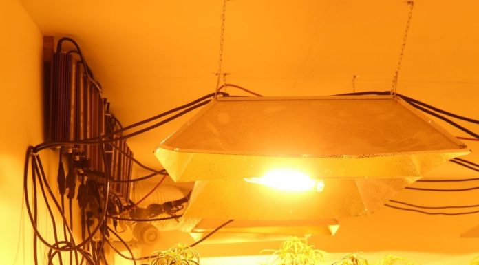 Council to weigh Prop 64 options