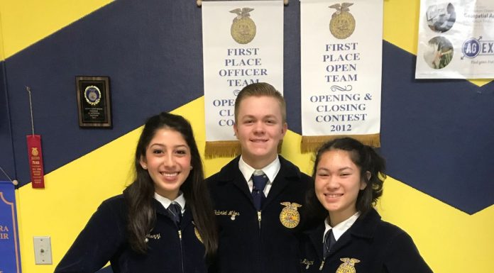 Three Live Oak HS students earn FFA State Degree