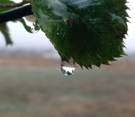 Flash flood warning issued in parts of Santa Clara County