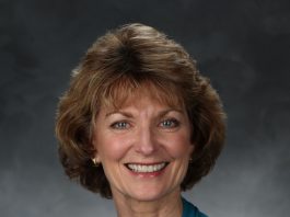 South County mentors needed for foster care youth