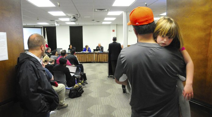 Board delays vote on field use fees