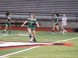 Goble earns an Emmy for consistency