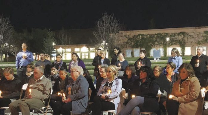 Pioneers against domestic violence