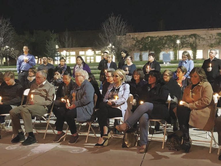 Pioneers against domestic violence