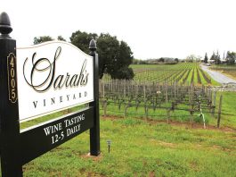 Sarah’s Vineyard to celebrate 40 years
